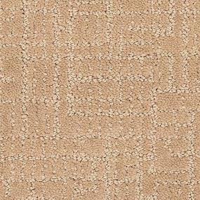 Pattern Pottery Beige/Tan Carpet