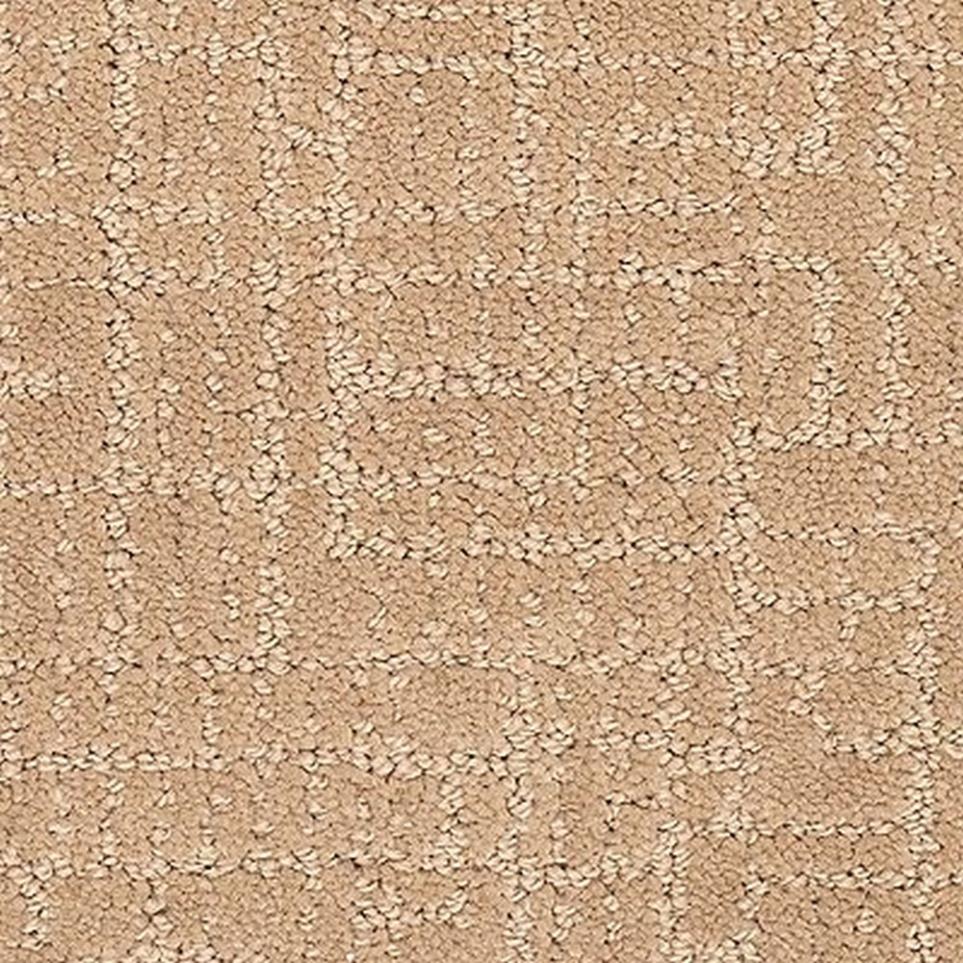 Pattern Pottery Beige/Tan Carpet