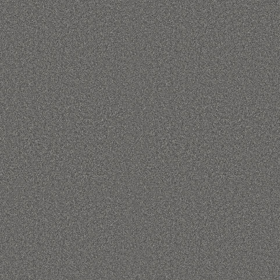 Texture Armour Blue Carpet