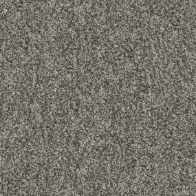 Nickel                          Carpet