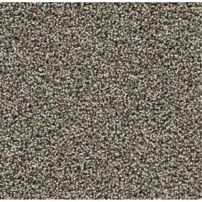 Textured Saxony Diplomat Brown Carpet