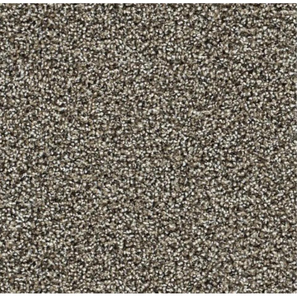 Textured Saxony Diplomat Brown Carpet