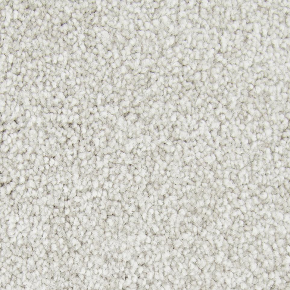 Pattern Enchanting Gray Carpet