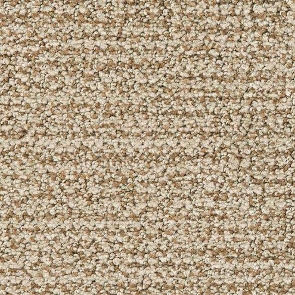 Pattern Nuez Beige/Tan Carpet