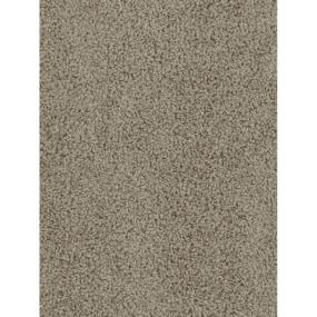 Textured Saxony Expressive Beige/Tan Carpet