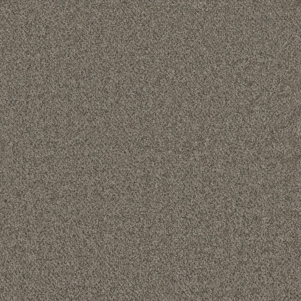 Texture Faithful Brown Carpet