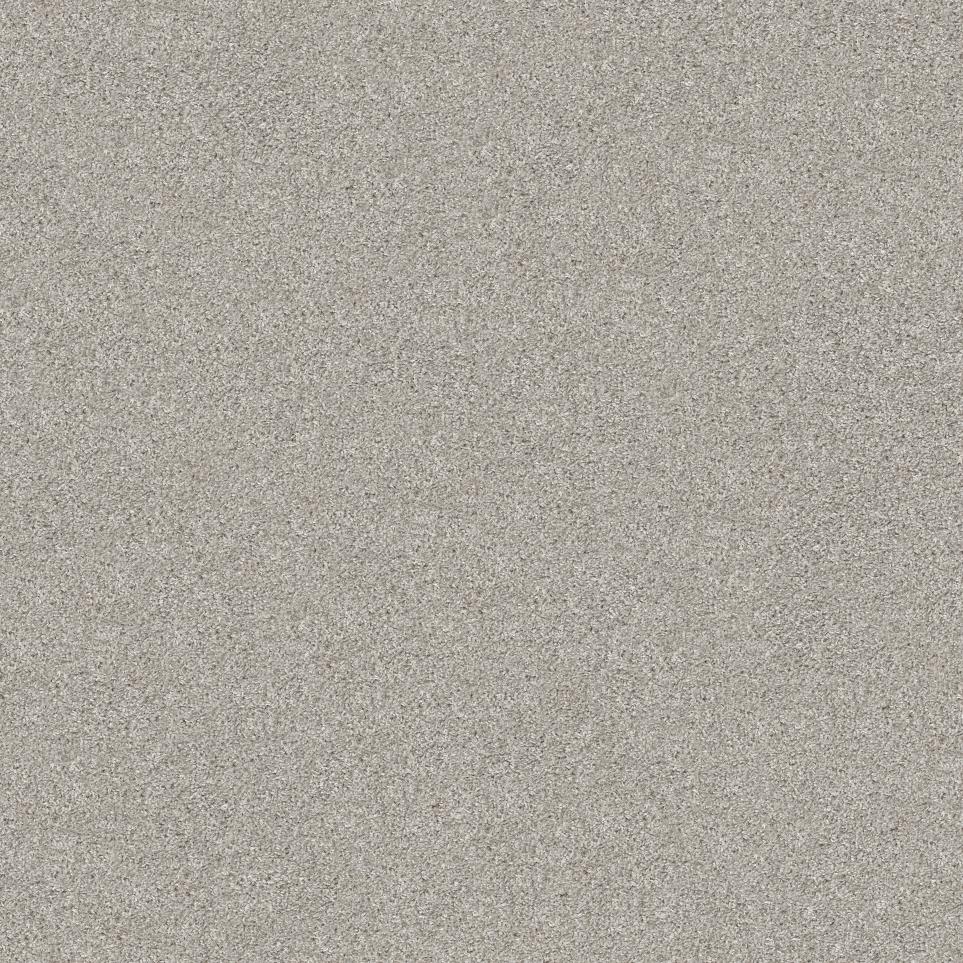 Texture Happy Place Gray Carpet