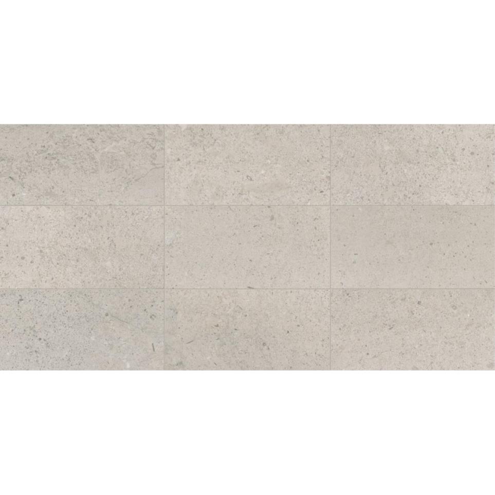 Tile Delancey Grey Polished Gray Tile