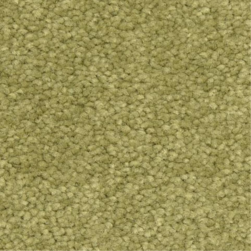 Casual Texture Pistachero Green Carpet