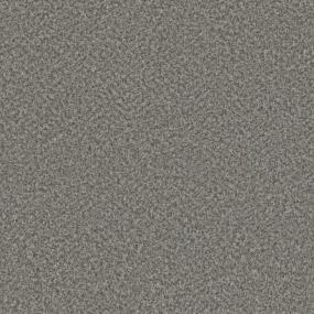 Textured Saxony Moving Forward Brown Carpet