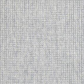 Woven Child Gray Carpet
