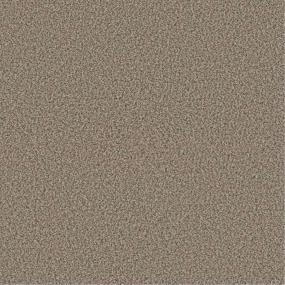 Plush Saxony Gathering Brown Carpet