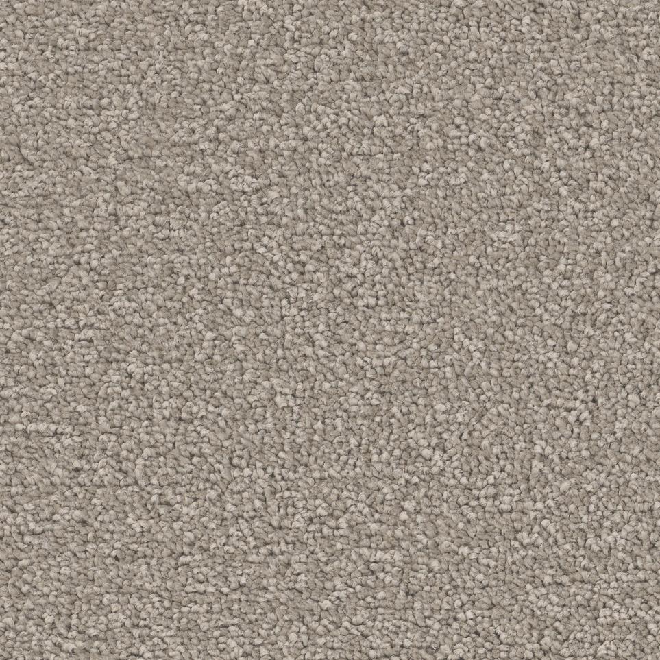 Casual Texture Smooth Sailing Beige/Tan Carpet