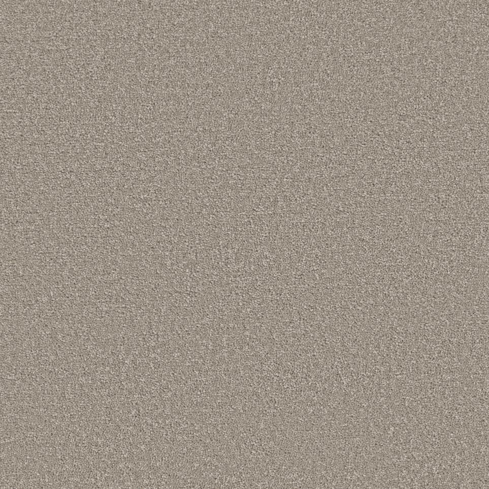 Casual Texture Smooth Sailing Beige/Tan Carpet