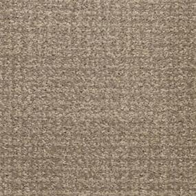 Pattern Fur Sure Brown Carpet