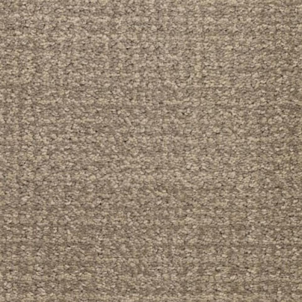 Pattern Fur Sure Brown Carpet