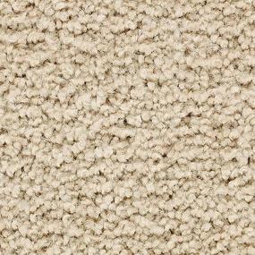 Textured Saxony Ecru Beige/Tan Carpet