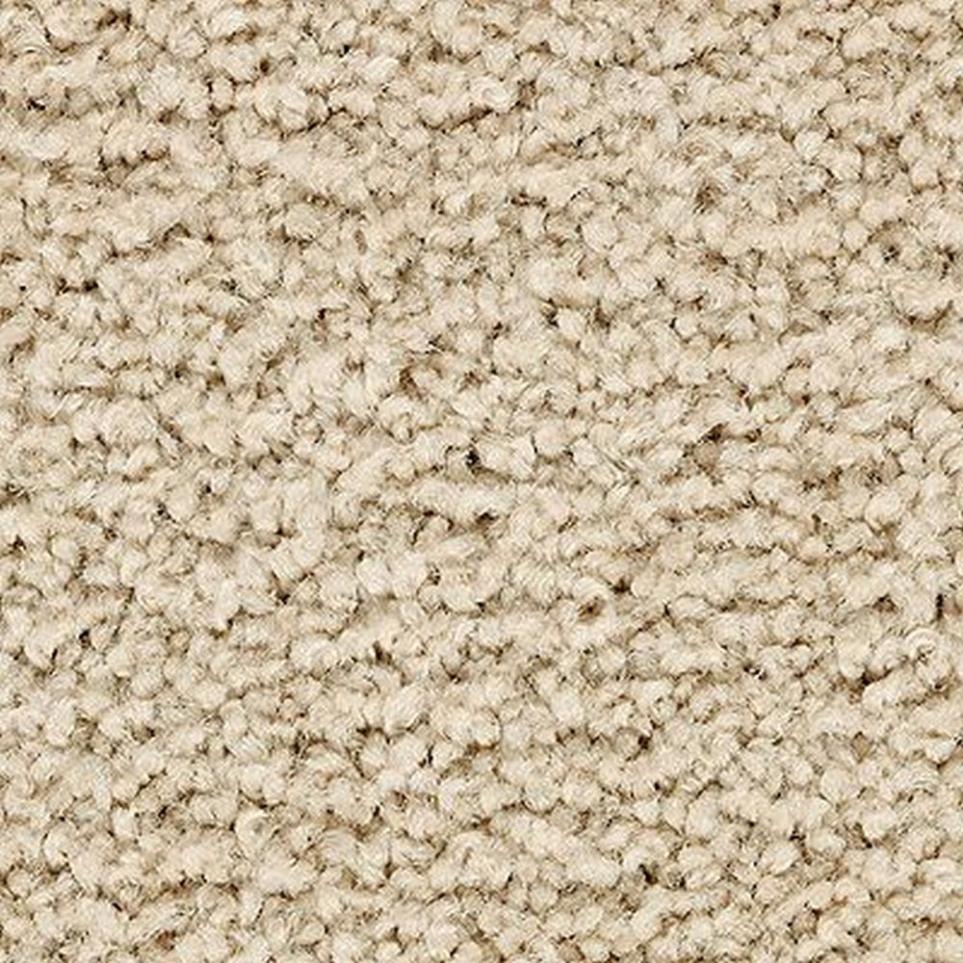 Textured Saxony Ecru Beige/Tan Carpet