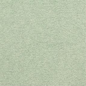 Casual Texture Vivid Green Carpet