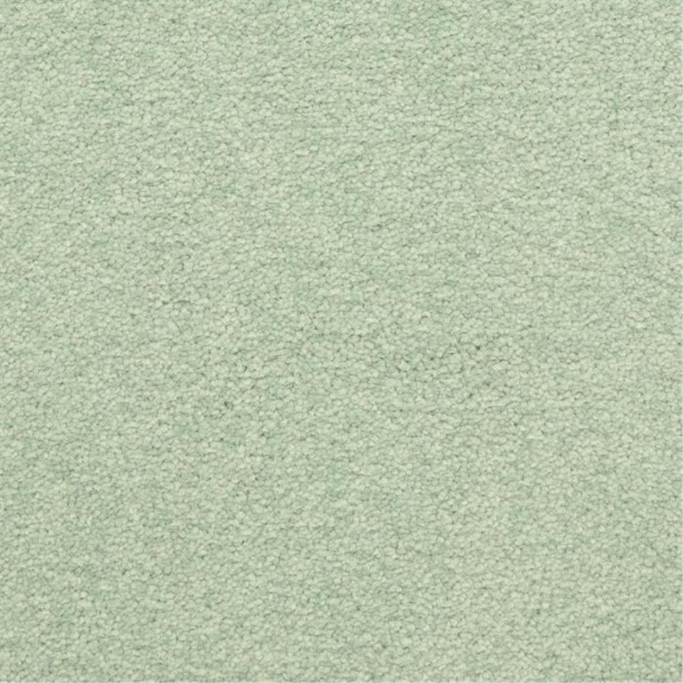 Casual Texture Vivid Green Carpet
