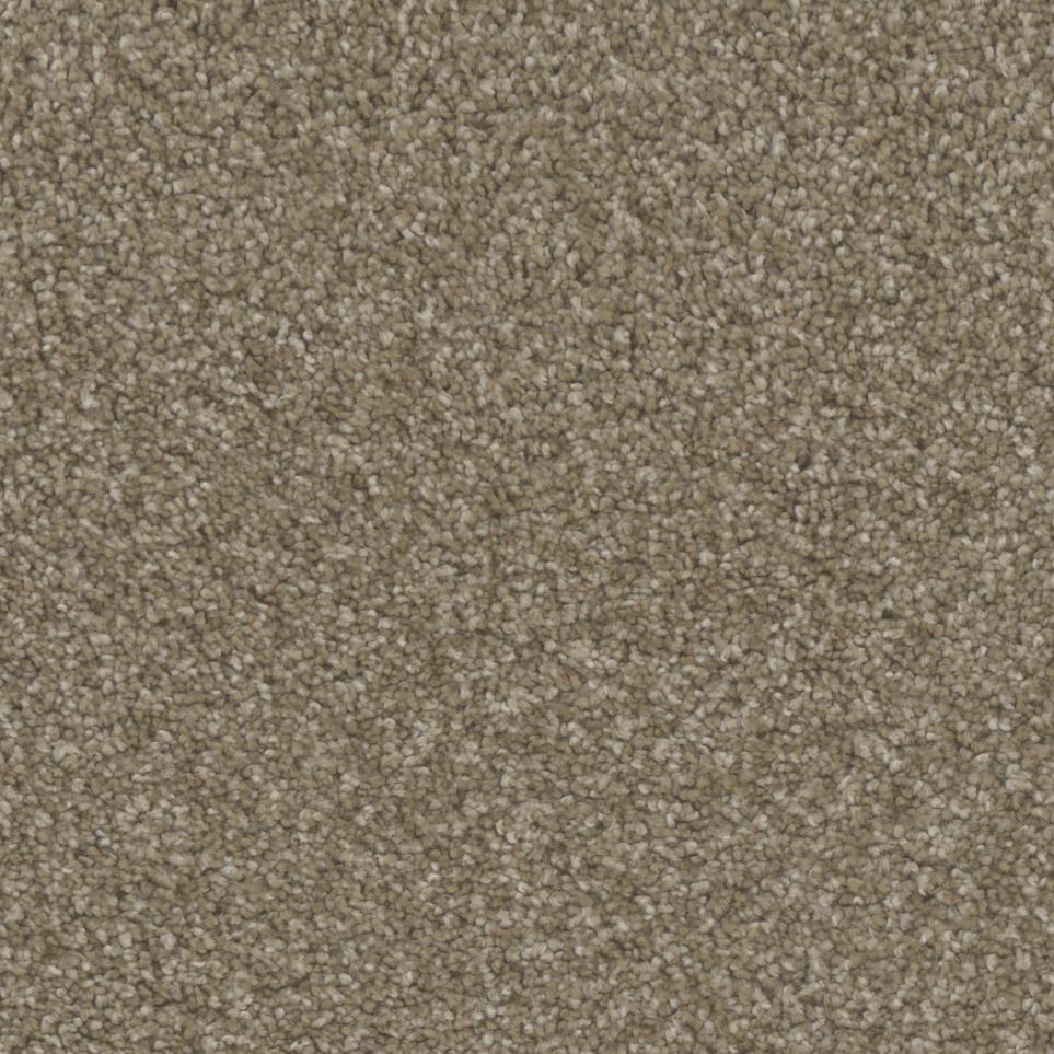 Texture Notable Beige/Tan Carpet