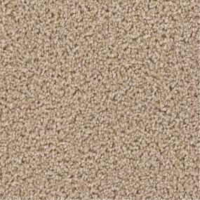 Textured Saxony Tempting Beige/Tan Carpet