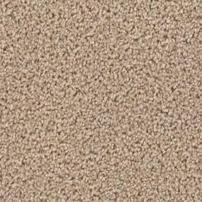 Texture Tempting Beige/Tan Carpet