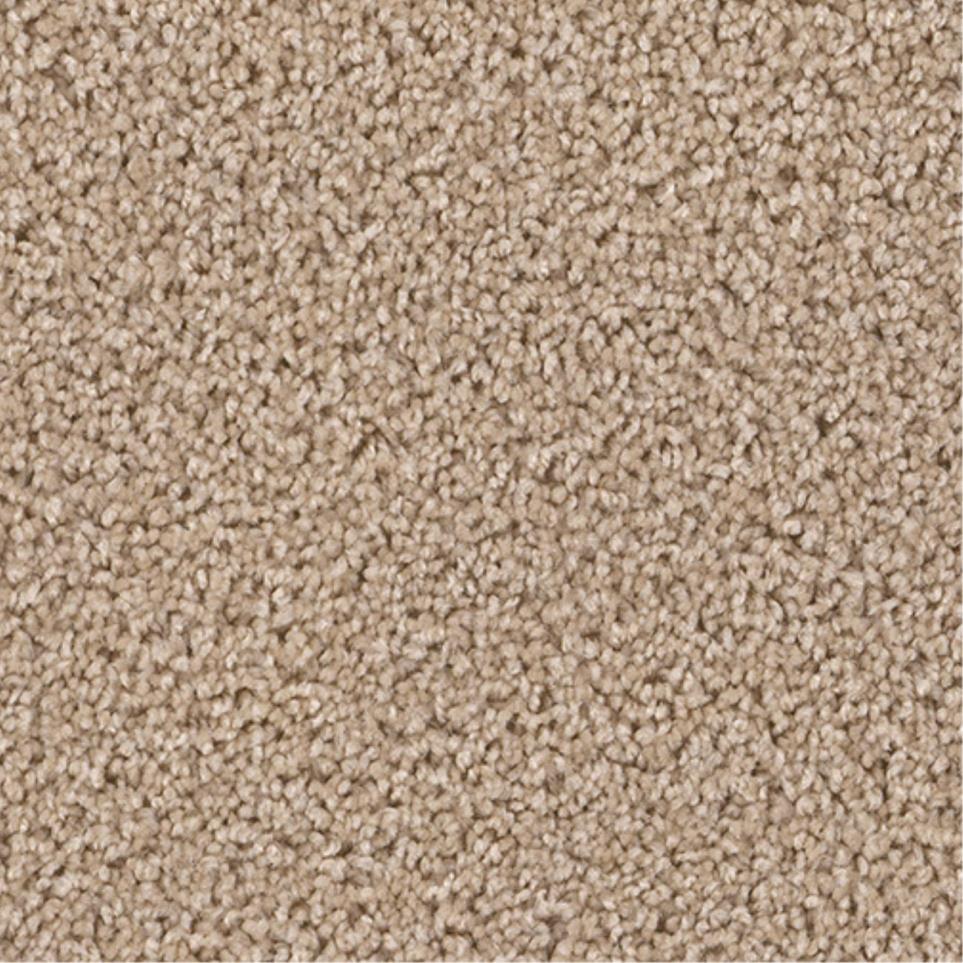 Textured Saxony Tempting Beige/Tan Carpet