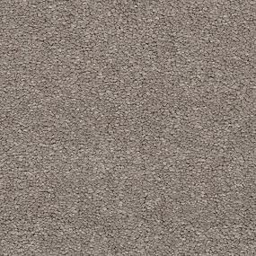 Textured Saxony Chenille Beige/Tan Carpet