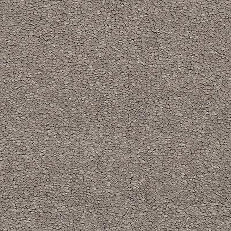 Textured Saxony Chenille Beige/Tan Carpet