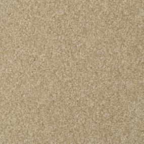 Casual Texture Camelite Beige/Tan Carpet