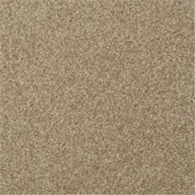 Casual Texture Taffy Beige/Tan Carpet