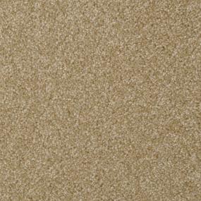Casual Texture Rawhide Beige/Tan Carpet