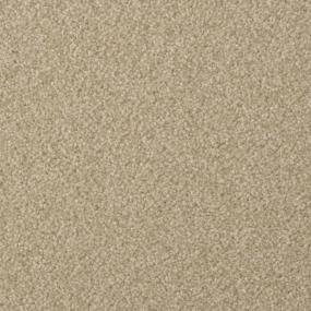 Casual Texture Suede Beige/Tan Carpet