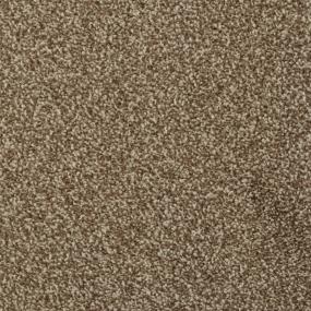 Casual Texture Mountain Mist Brown Carpet