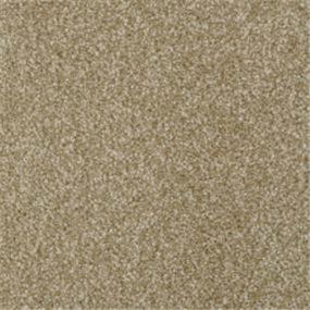 Casual Texture Cameo Beige/Tan Carpet