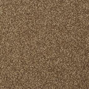 Casual Texture Yucatan Beige/Tan Carpet