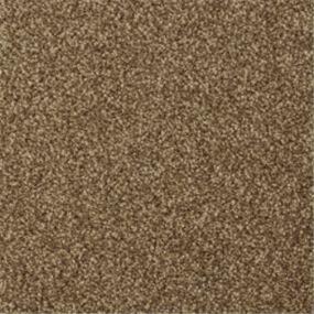 Casual Texture Yucatan Brown Carpet