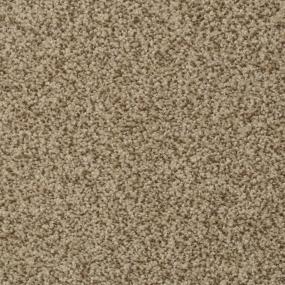 Casual Texture Mesa Beige/Tan Carpet