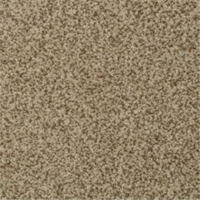 Casual Texture Mesa Beige/Tan Carpet