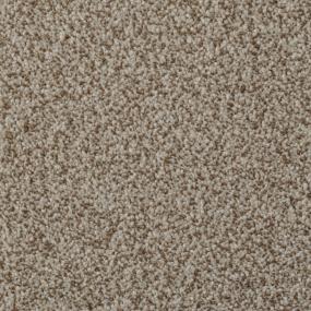 Casual Texture Dorion Tweed Beige/Tan Carpet