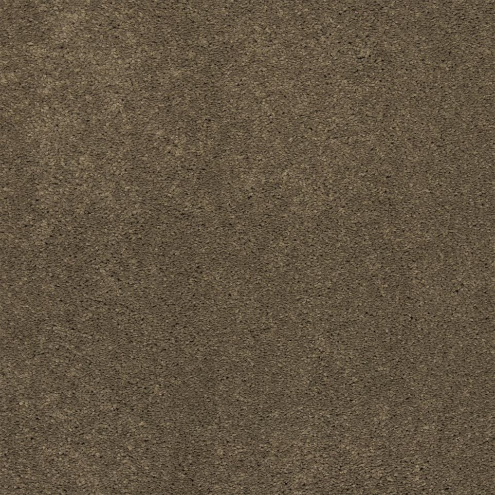 Texture Universal Brown Carpet
