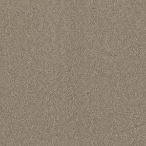 Casual Texture Bungalow Beige/Tan Carpet