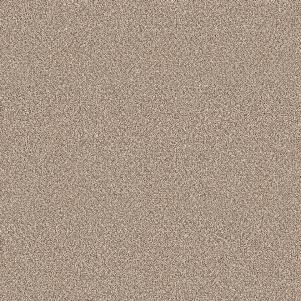 Textured Saxony Ambassador Beige/Tan Carpet