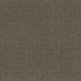 Loop Meteorite Brown Carpet