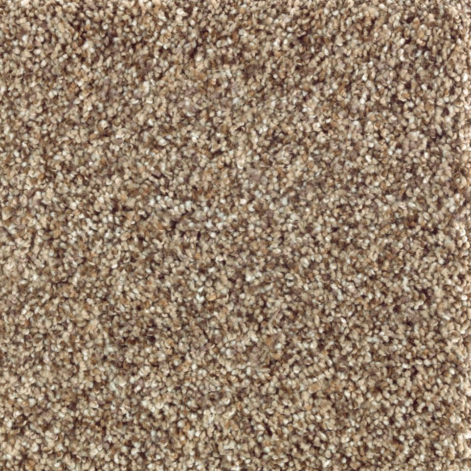Texture Ancestral Haze Beige/Tan Carpet