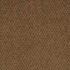 Pattern Walnut Brown Carpet