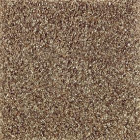 Textured Saxony Bercamont Beige/Tan Carpet