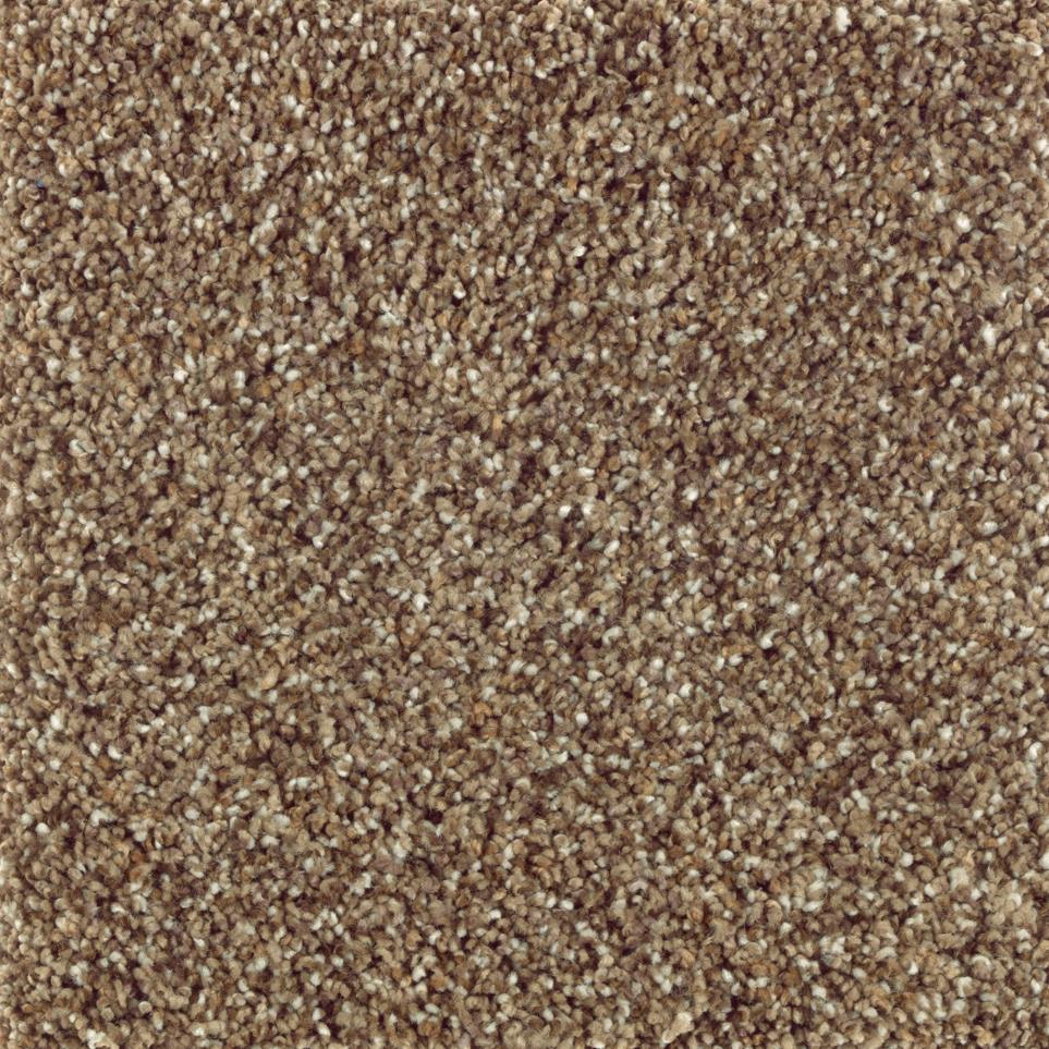 Texture Bercamont Beige/Tan Carpet
