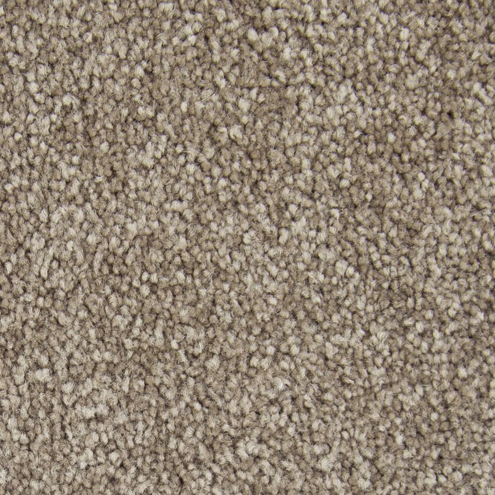 Pattern Quiet Eloquence Beige/Tan Carpet
